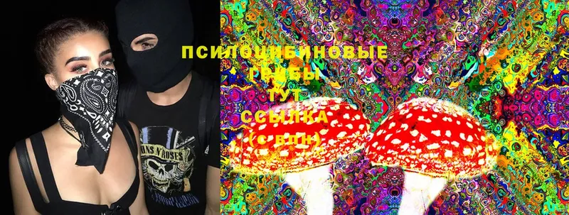 Галлюциногенные грибы Cubensis  Углегорск 